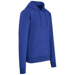 Mens Omega Hooded Sweater