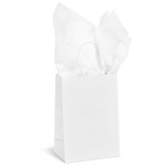 Artful Tissue Paper - Pack of 10 Sheets