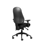 Wellback 100 Orthopedic Chair - 11/ZZ/WB100 + 11/ZZ/WBA02