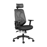 Leila Ergonomic Office Chair - With headrest - 11/ZZLEHB2