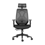 Leila Ergonomic Office Chair - With headrest - 11/ZZLEHB2