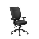 Wellback 200 Orthopedic Chair - 11/ZZ/WB200 + 11/ZZ/WBA02