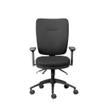 Wellback 200 Orthopedic Chair - 11/ZZ/WB200 + 11/ZZ/WBA02