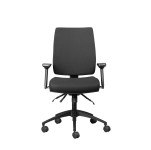 Wellback 300 Orthopedic Chair - 11/ZZ/WB300 + 11/ZZ/WBA02