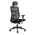 ErgoSit Ergonomic Office Chair - With headrest - 11/ZZESI01