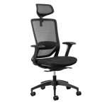 Fenix Ergonomic Office Chair - With headrest - 11/ZZ/FEN01