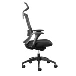 Fenix Ergonomic Office Chair - With headrest - 11/ZZ/FEN01