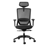 Fenix Ergonomic Office Chair - With headrest - 11/ZZ/FEN01