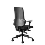 OrthoMax Orthopedic Chair - Without headrest - 11/ZZ/ORM02