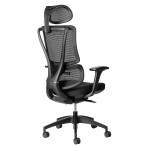 ErgoBack Ergonomic Office Chair - With headrest - 11/ZZ/EBA01