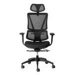 ErgoBack Ergonomic Office Chair - With headrest - 11/ZZ/EBA01