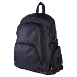 Cruz Laptop Backpack