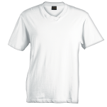 180g Barron V-Neck T-Shirt