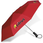 Whimsical Auto-Open Compact Umbrella