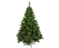 Tall Evergreen Christmas Tree