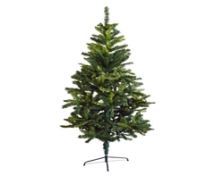 Tall Evergreen Christmas Tree