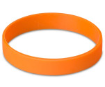 Altitude Fitwise Silicone Adults Wristband