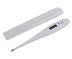 Digital Thermometer