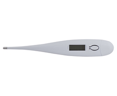 Digital Thermometer