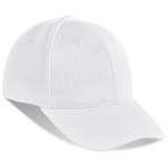 Ace Fitted Cap - 6 Panel 