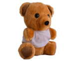 Teddy Plush Toy