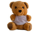 Teddy Plush Toy