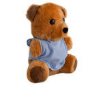 Teddy Plush Toy