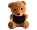 Teddy Plush Toy