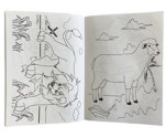 Wildlife Stickers & Colouring Book