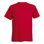 Walker Birdseye T-Shirt