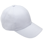 6 Panel Brushed Cotton Cap