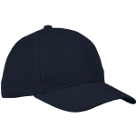 6 Panel Raven Cap