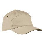 6 Panel Carbon Cap