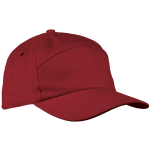 6 Panel Carbon Cap