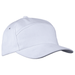 6 Panel Carbon Cap