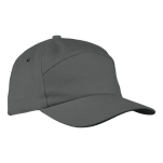 6 Panel Carbon Cap