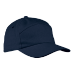 6 Panel Carbon Cap