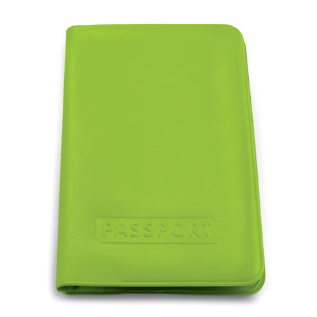 Budget Passport Holder