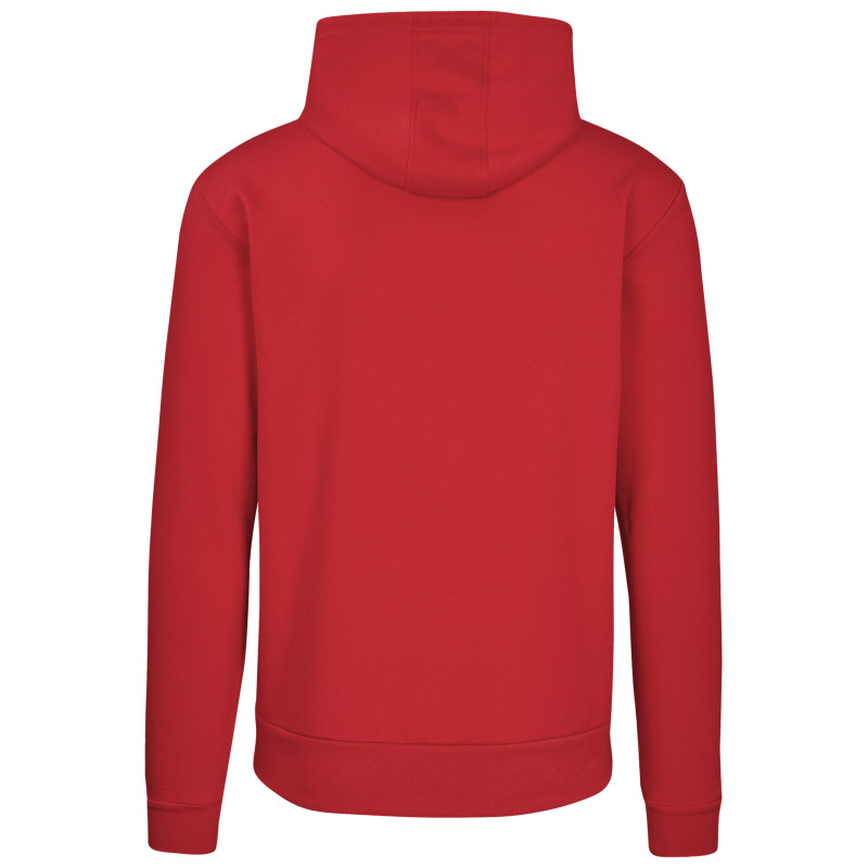 Mens Omega Hooded Sweater