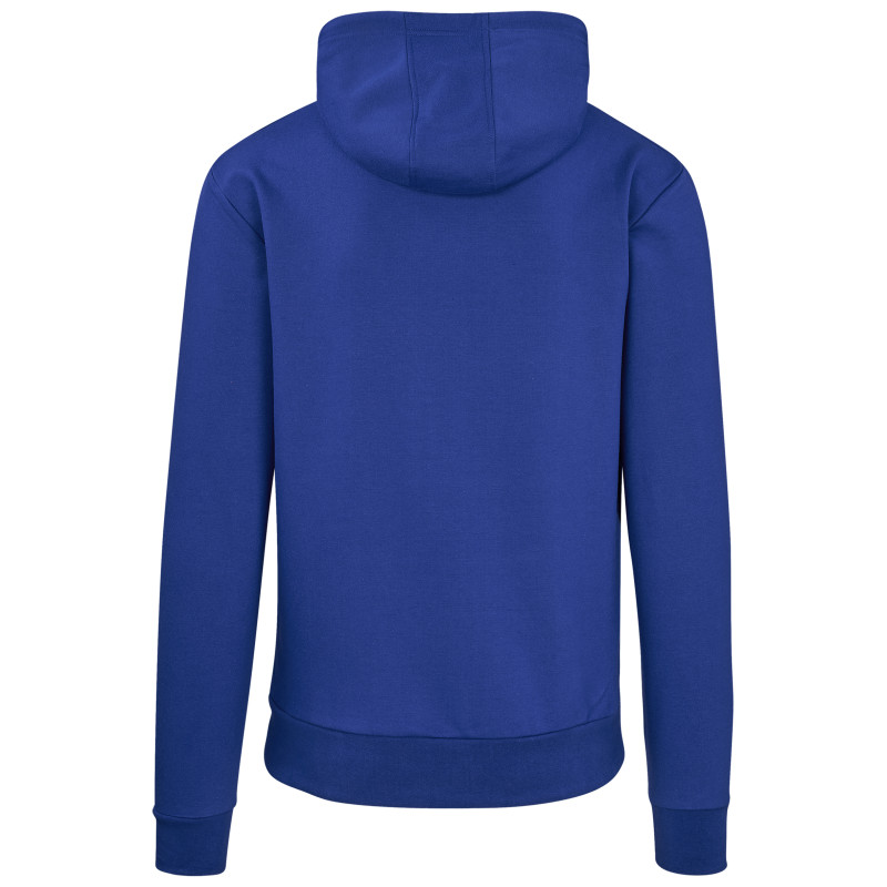 Mens Omega Hooded Sweater