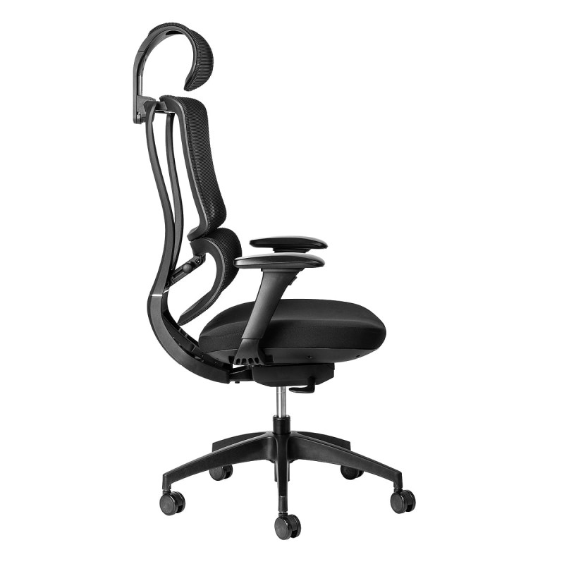 Alya Ergonomic Chair - Wellback Shop