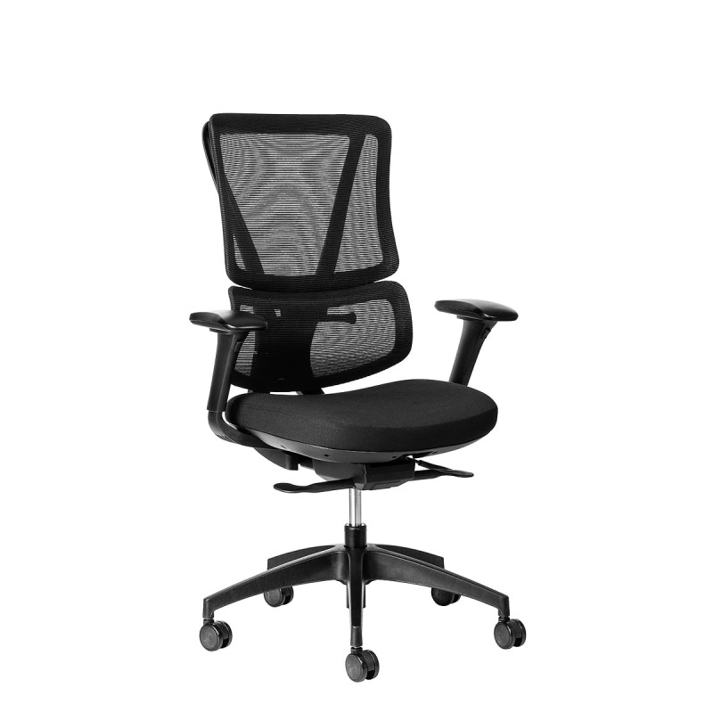 ErgoBack Ergonomic Office Chair - Without headrest - 11/ZZ/EBA02