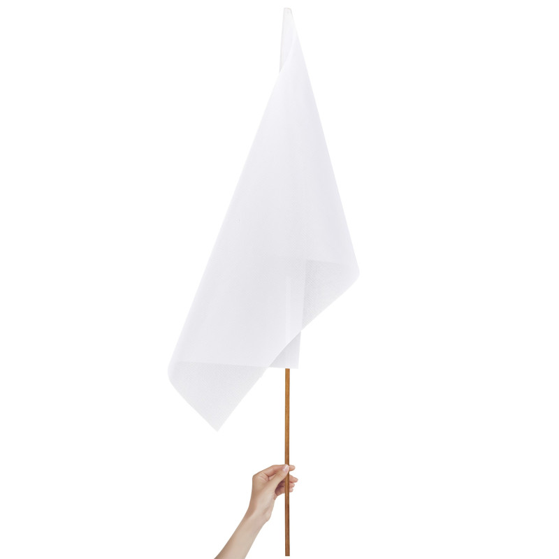 Champion Large Hand Flag 900mm x 600mm