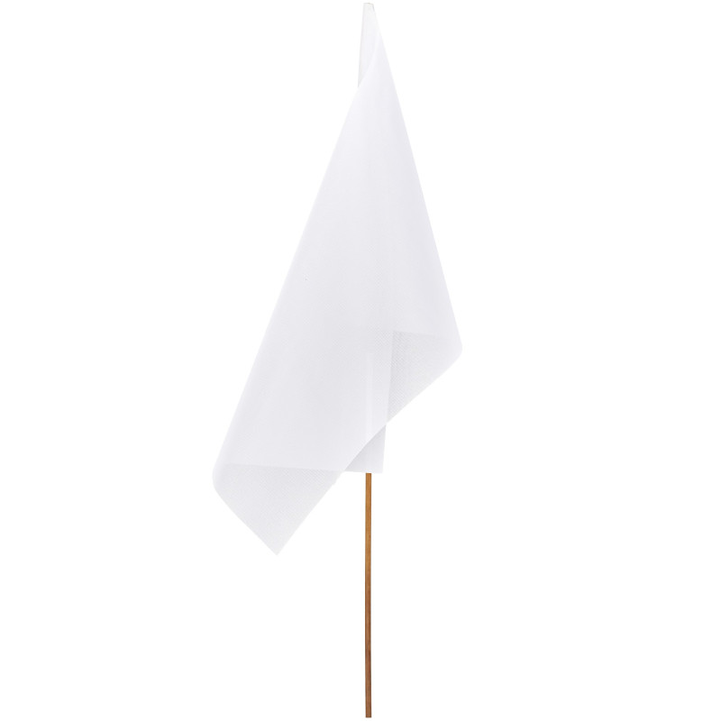 Champion Large Hand Flag 900mm x 600mm