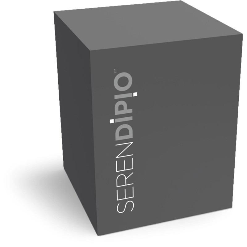 Serendipio Sheridan Stainless Steel Vacuum Tumbler - 300ml