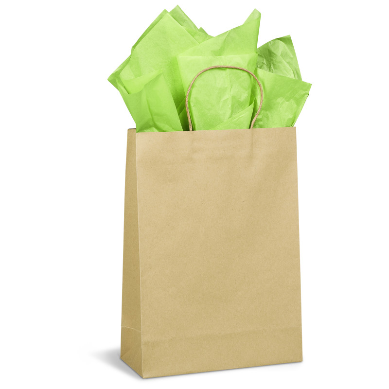 Custom Ecological Maxi Gift Bag 150gsm