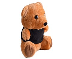 Teddy Plush Toy