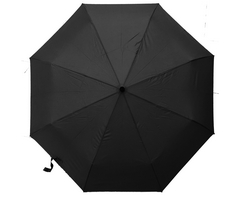 Auto 3-Fold Umbrella