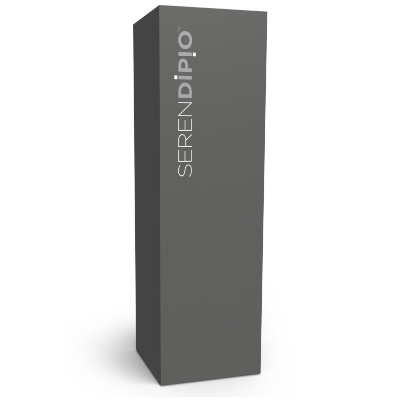 Serendipio Chandler Vacuum Water Bottle - 500ml