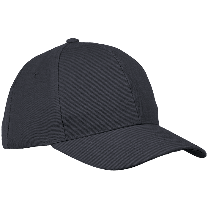 6 Panel Raven Cap